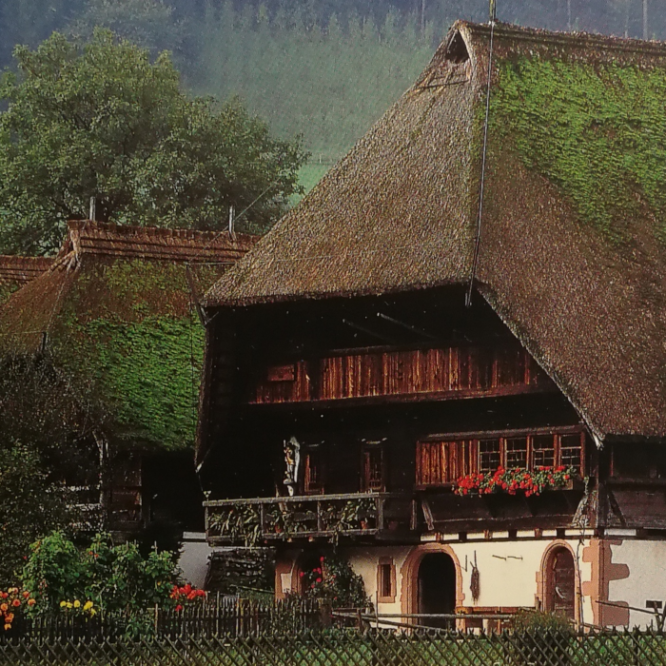 Black Forest
